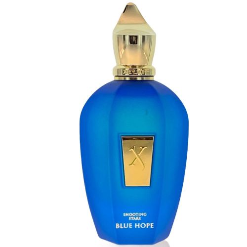 Blue Hope 100ml Parfum